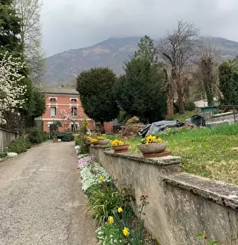 Foto annuncio 9