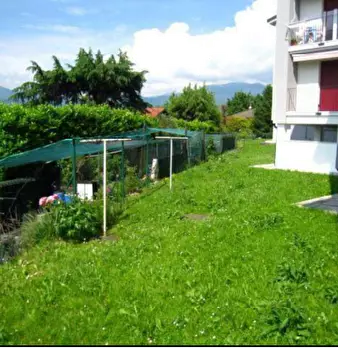 Foto annuncio 6