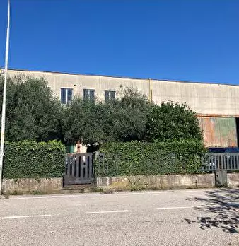 Foto annuncio 2