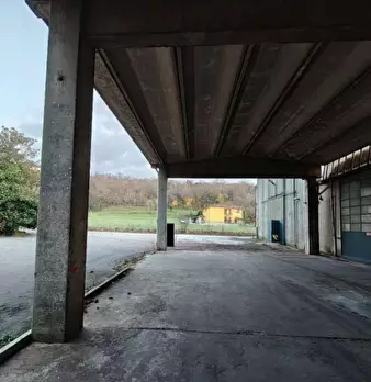 Foto annuncio 9