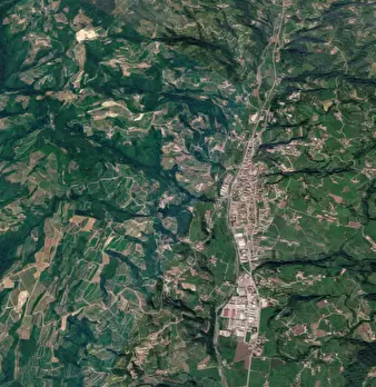 Foto annuncio 18