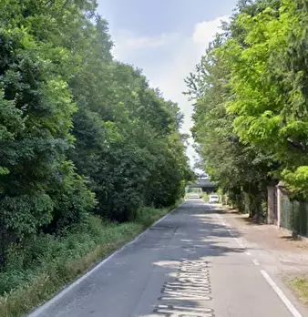 Foto annuncio 9