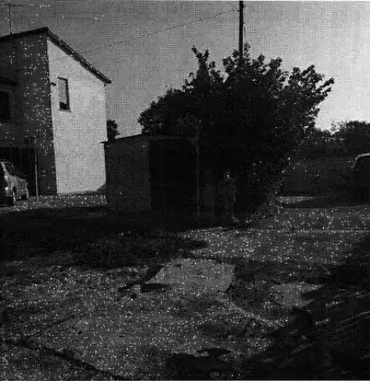 Foto annuncio 3