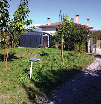 Foto annuncio 7