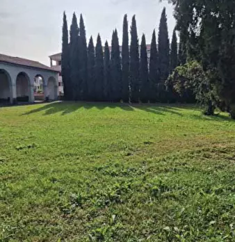 Foto annuncio 28