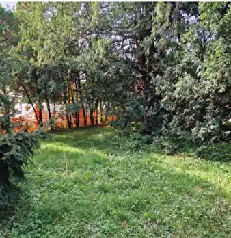 Foto annuncio 34