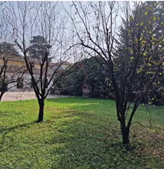 Foto annuncio 36