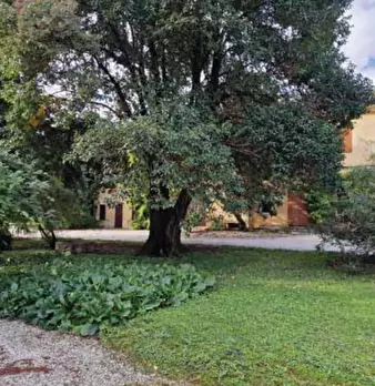 Foto annuncio 42