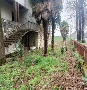 Foto annuncio 7