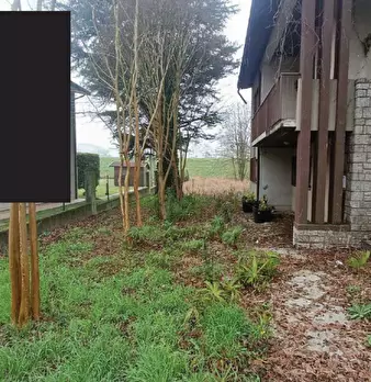 Foto annuncio 8