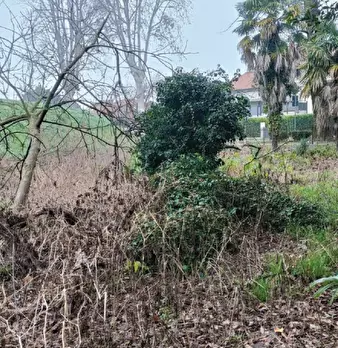 Foto annuncio 11