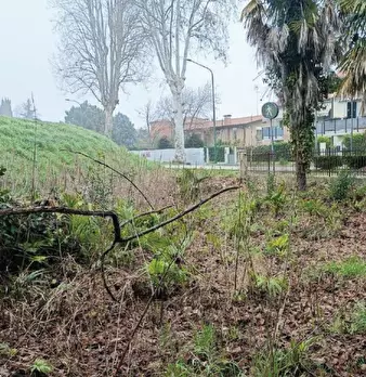 Foto annuncio 12