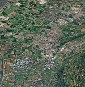 Foto annuncio 9