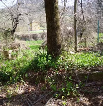 Foto annuncio 6