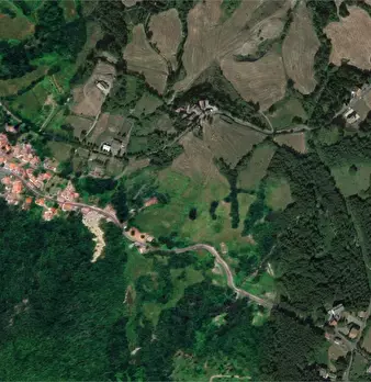 Foto annuncio 11