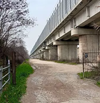 Foto annuncio 2