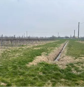 Foto annuncio 9