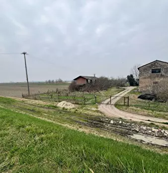 Foto annuncio 2