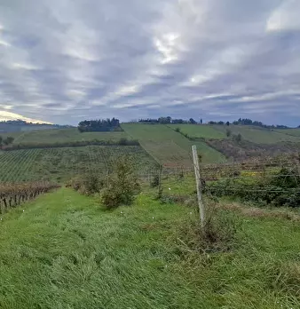 Foto annuncio 5