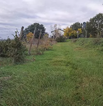 Foto annuncio 8