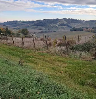 Foto annuncio 9