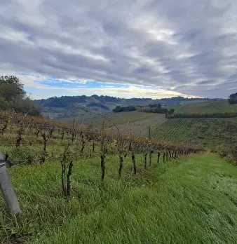 Foto annuncio 13