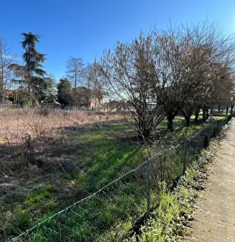 Foto annuncio 5