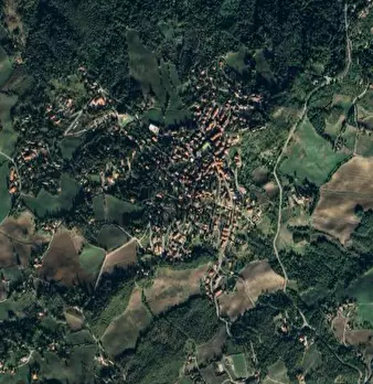 Foto annuncio 9