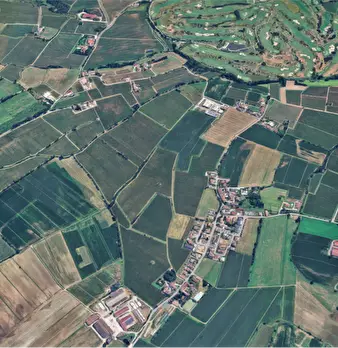 Foto annuncio 12