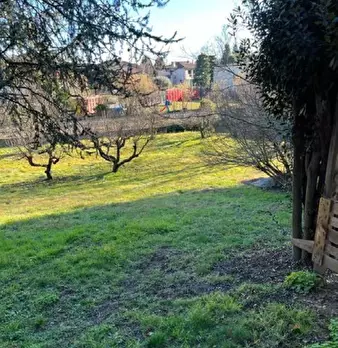 Foto annuncio 7