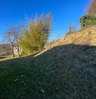 Foto annuncio 10