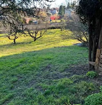 Foto annuncio 7