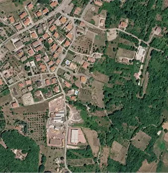 Foto annuncio 9
