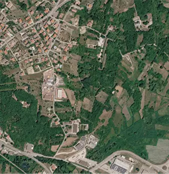 Foto annuncio 10
