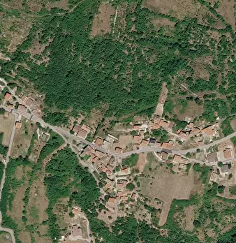 Foto annuncio 12