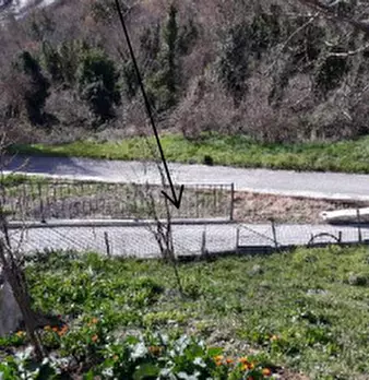 Foto annuncio 10