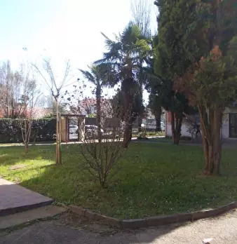 Foto annuncio 5