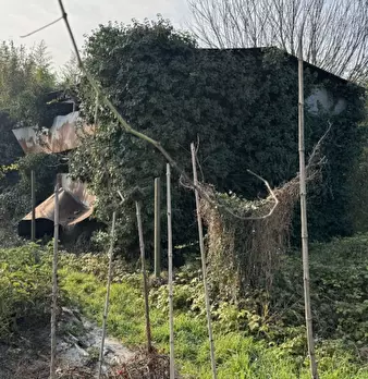 Foto annuncio 3