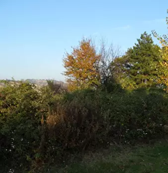 Foto annuncio 2