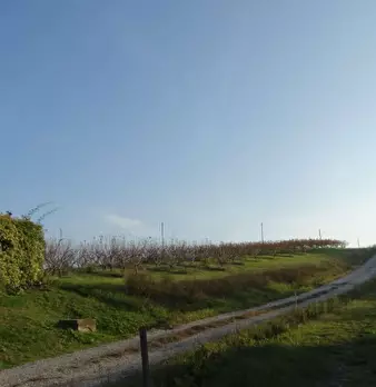 Foto annuncio 7