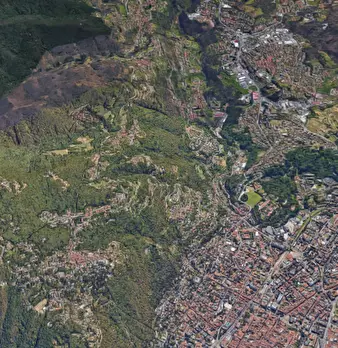 Foto annuncio 11