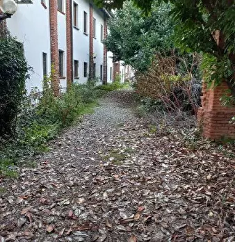 Foto annuncio 13