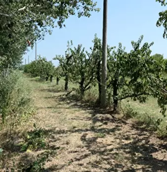 Foto annuncio 3