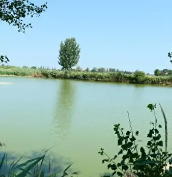 Foto annuncio 4