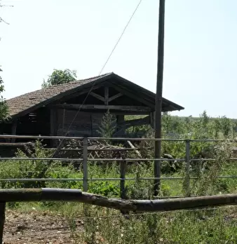 Foto annuncio 13