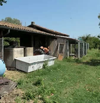 Foto annuncio 16