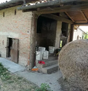 Foto annuncio 17