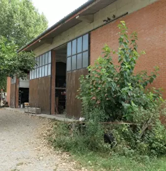 Foto annuncio 19