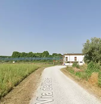 Foto annuncio 14