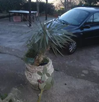 Foto annuncio 3